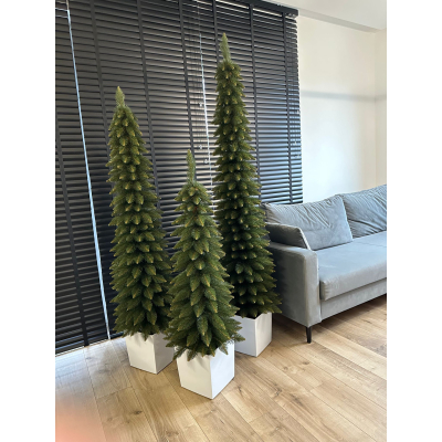 Choinka Świerk Zakopiański Super slim  Premium w donicy